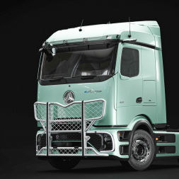 Pare-buffles HIGHWAY en aluminium TRUX - Airflow - Mercedes PROCABIN 2025+