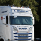 Visières pare-soleil 30 cm - Polyester - ALL Scania NG 2016+