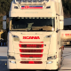 Visières pare-soleil 30 cm - Polyester - ALL Scania NG 2016+