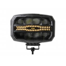 LIGHT JUMBO CORALINE LED