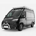 ProAce Max